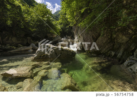 夏の渓谷　白州 56754758