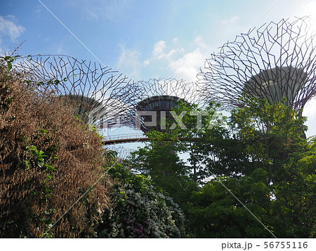 シンガポール ガーデンズ・バイ・ザ・ベイ  56755116
