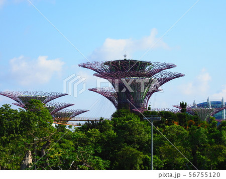 シンガポール ガーデンズ・バイ・ザ・ベイ  56755120