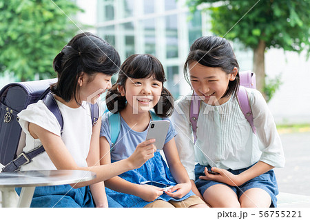 小学生 学校 スクールライフイメージ 56755221