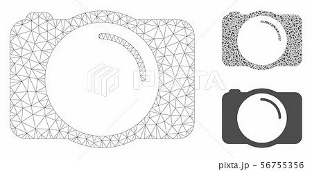 Photo Camera Vector Mesh 2D Model and Triangle Mosaic Icon 56755356