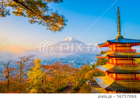 Beautiful landscape of mountain fuji with chureito pagoda around maple leaf tree in autumn season Beautiful landscape of mountain fuji with chureito pagoda around maple leaf tree in autumn season 56757068
