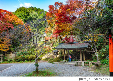 日向大神宮 手水舎 56757151