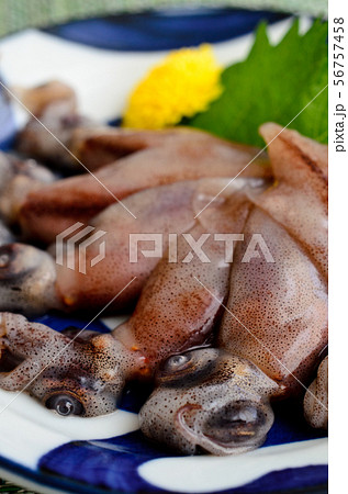 ホタルイカの刺身 ホタルイカの刺身 56757458