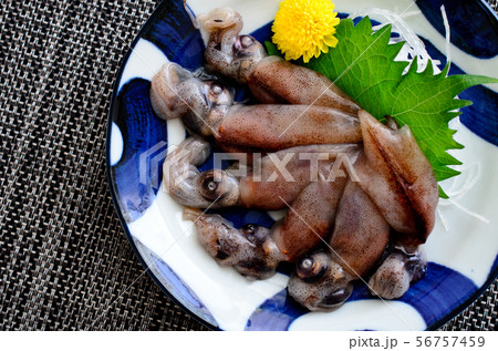 ホタルイカの刺身 56757459