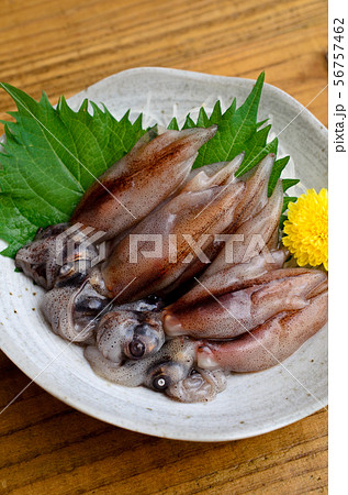 ホタルイカの刺身 ホタルイカの刺身 56757462