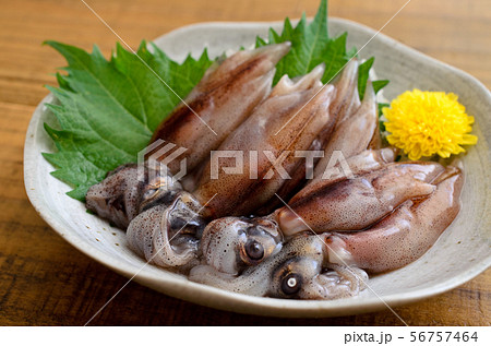 ホタルイカの刺身 ホタルイカの刺身 56757464