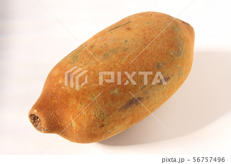 アマゾン産のクプアス 56757496