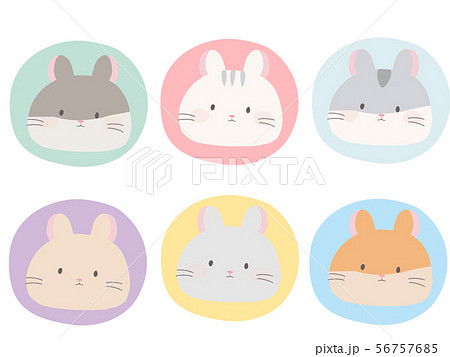 ハムシール２ 56757685