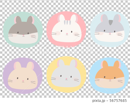 ハムシール２ 56757685