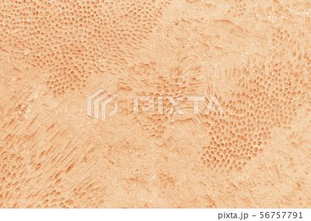 texture of concrete floor walkway texture of concrete floor walkway 56757791
