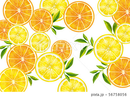 オレンジとレモンのイラスト素材