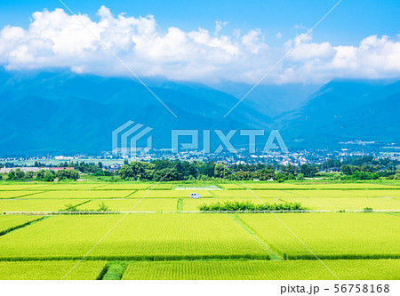 夏から秋へ 安曇野の田園風景の写真素材 [56758168] - PIXTA