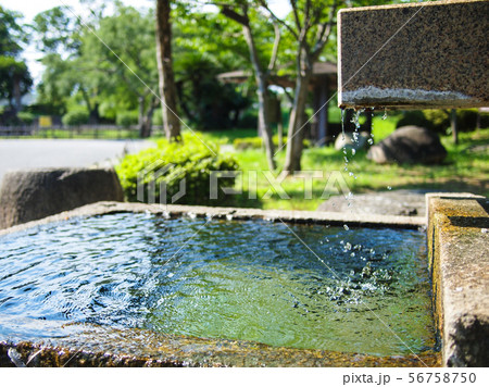 高槻市　城跡公園　水場 56758750