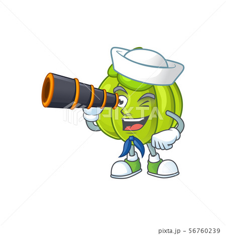 Sailor with binocular green pumpkin ripe on a white background Sailor with binocular green pumpkin ripe on a white background 56760239