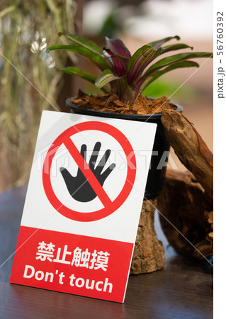 do not touch sign on orchid flowers garden 56760392