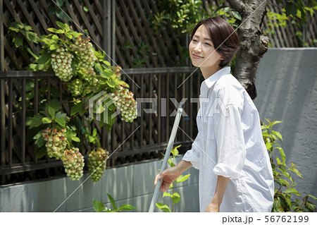 女性　庭掃除　掃除　玄関掃除　町内清掃 56762199