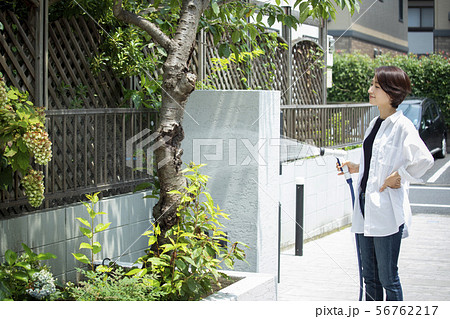 女性 ホース 水やり 水撒きの写真素材