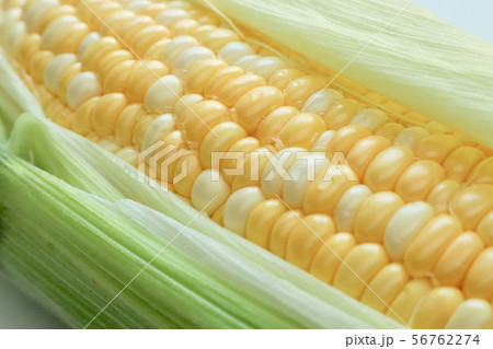 北海道産とうもろこし 56762274