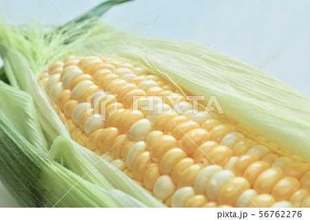 北海道産とうもろこし 56762276
