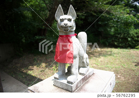 熊野神社 寺家 きつね 熊野神社 寺家 きつね 56762295