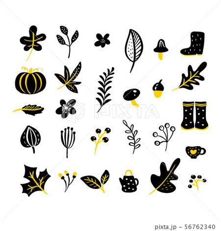 Set of vector doodle floral elements. Autumn collection. Flower graphic design. Herbs, leaves, boots 56762340