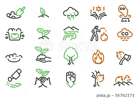 The grow seed of plant after wildfire. The grow seed of plant after wildfire. 56762573