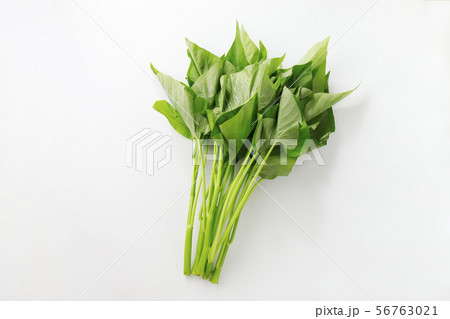 エンサイ エンサイ 56763021