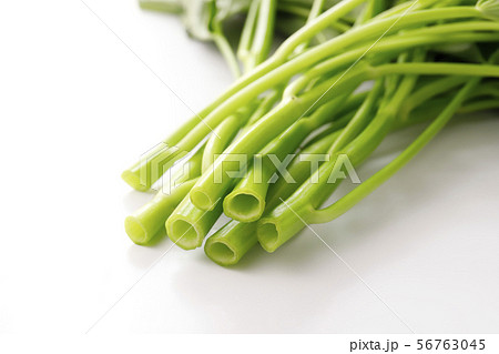 エンサイ 56763045