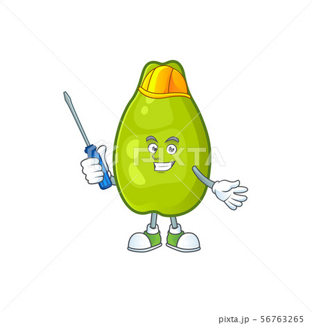 Automotive fresh and ripe papaya isolated on white background Automotive fresh and ripe papaya isolated on white background 56763265