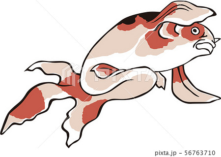 浮世絵　金魚　その8 56763710