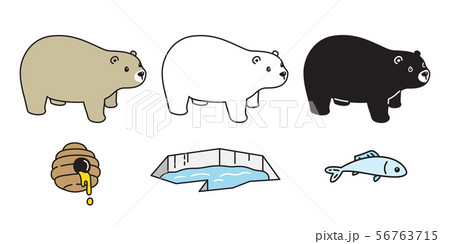 Bear vector polar bear icon honey fish cartoon 56763715