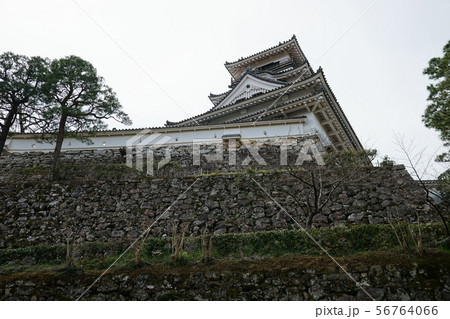 高知城 56764066