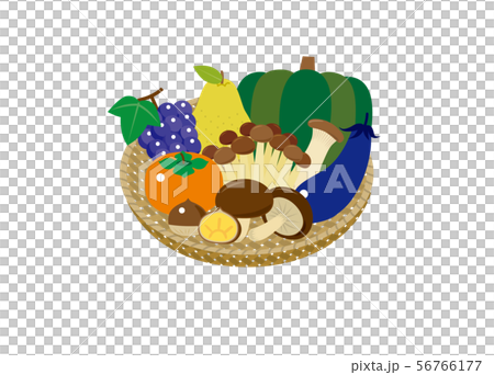 Autumn crop illustration 56766177