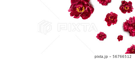 Greeting card mockup. Happy mothers day concept. 56766512