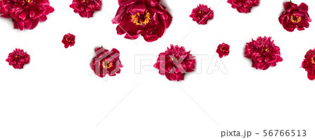 Greeting card mockup. Happy mothers day concept. 56766513