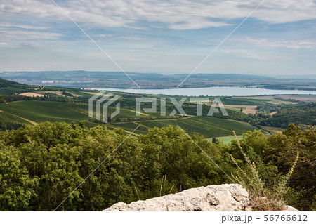 Landscape view of Palava in South Moravia. Lake 56766612