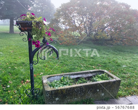 オーストリア ウイーン郊外 おしゃれな植木鉢 オーストリア ウイーン郊外 おしゃれな植木鉢 56767688