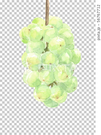 ブドウの絵 il_fullxfull.3278767270_ohvg.jpg