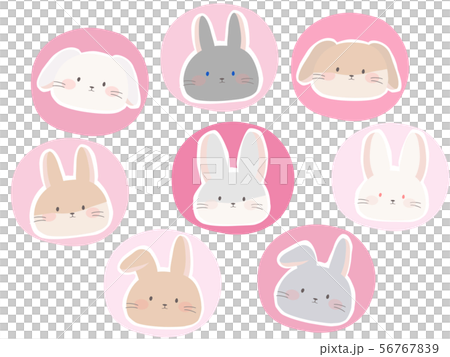 ウサギピンクシール ウサギピンクシール 56767839