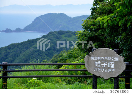 高知横浪自然公園帷子崎1 (須崎市横浪黒潮ライン) 高知横浪自然公園帷子崎1 (須崎市横浪黒潮ライン) 56768806