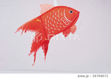 金魚 手提げ 金魚 手提げ 56769072