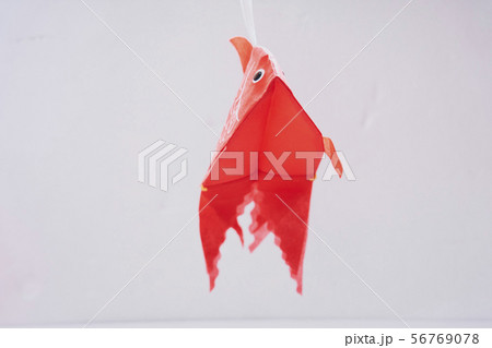 金魚 手提げ 56769078