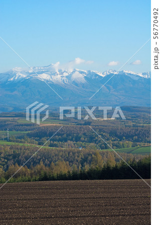 秋の丘陵地帯と冠雪の山並み　十勝岳連峰 56770492