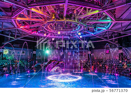 アクアパーク品川 イルカショー ナイト アクアパーク品川 イルカショー ナイト 56771370