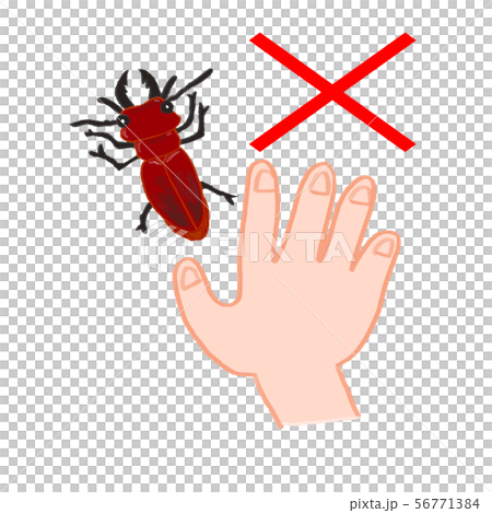 Spiraea, red stag, poisonous, dangerous if touched × mark prohibited mark Spiraea, red stag, poisonous, dangerous if touched × mark prohibited mark 56771384