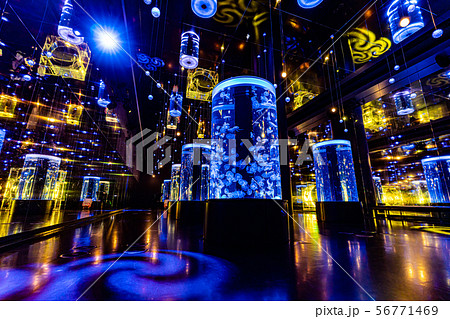 アクアパーク品川　クラゲエリア 56771469