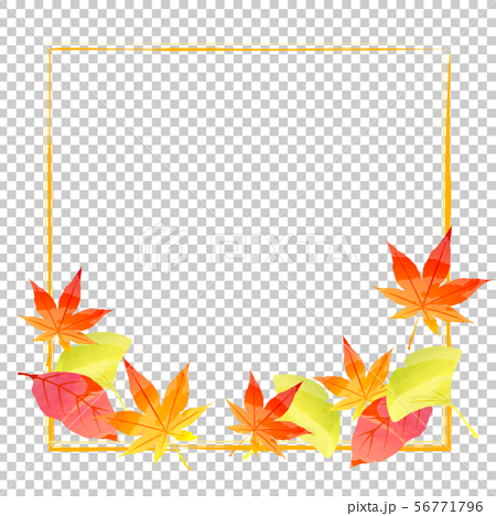 フレーム 秋の季節素材 イチョウともみじの飾り枠3のイラスト素材