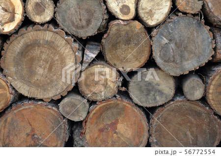 Dry sawn wood in the backyard Dry sawn wood in the backyard 56772554
