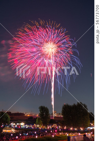 《東京都》いたばし花火大会・夏イメージ 《東京都》いたばし花火大会・夏イメージ 56773700